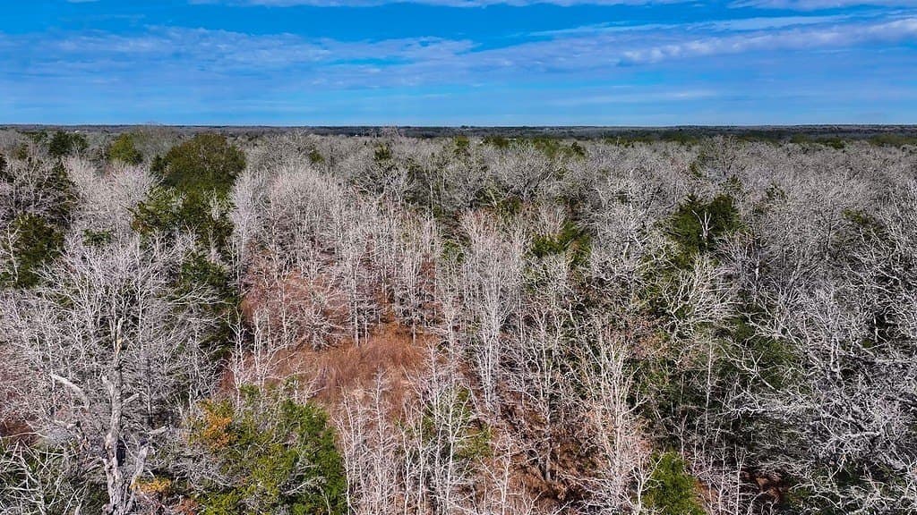 80.45 acres in Fayette County - photo 13
