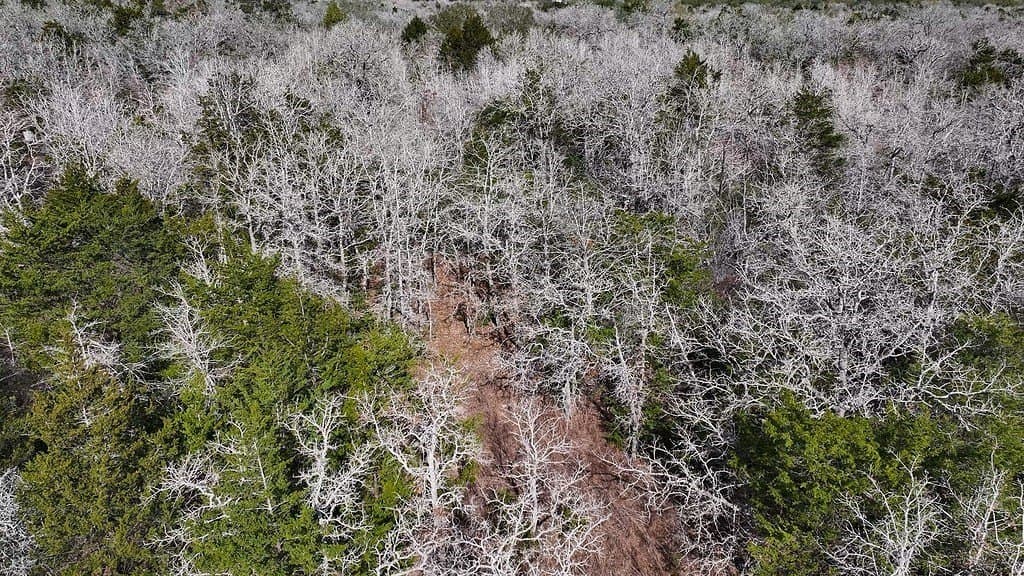 80.45 acres in Fayette County - photo 15