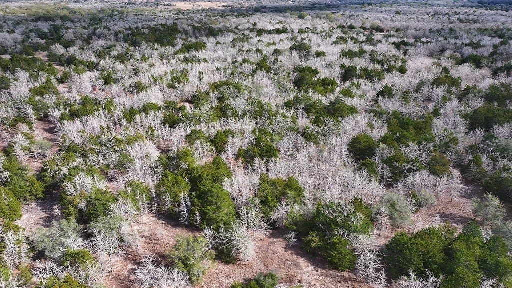 80.45 acres in Fayette County - photo 20