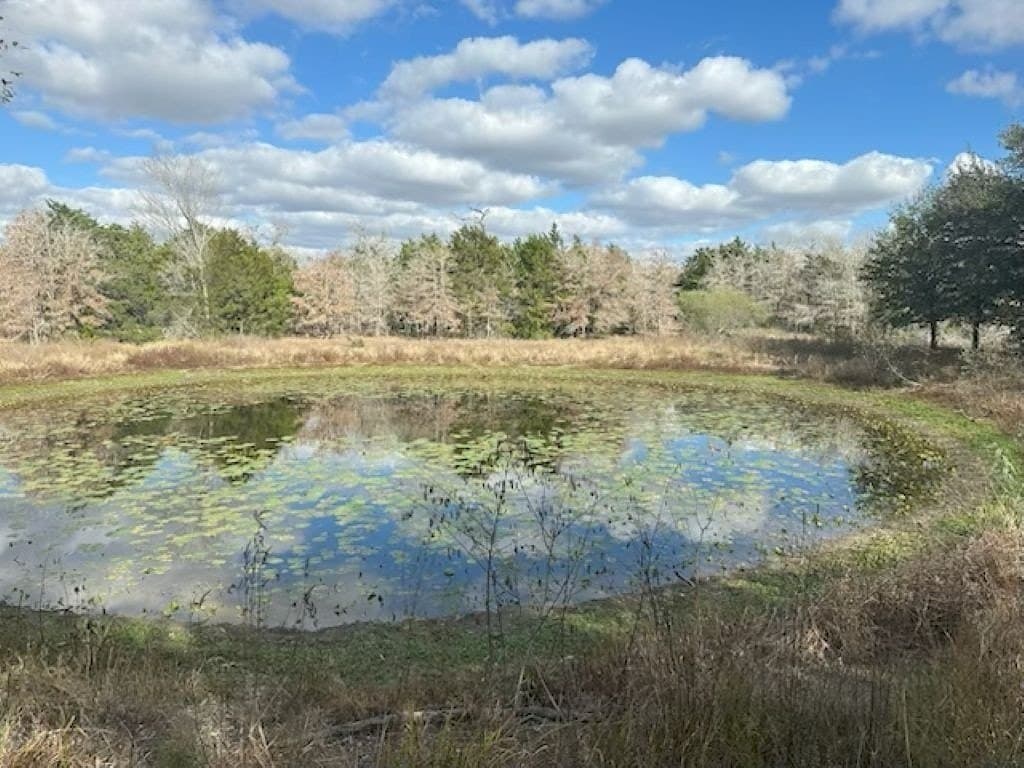 80.45 acres in Fayette County - photo 3