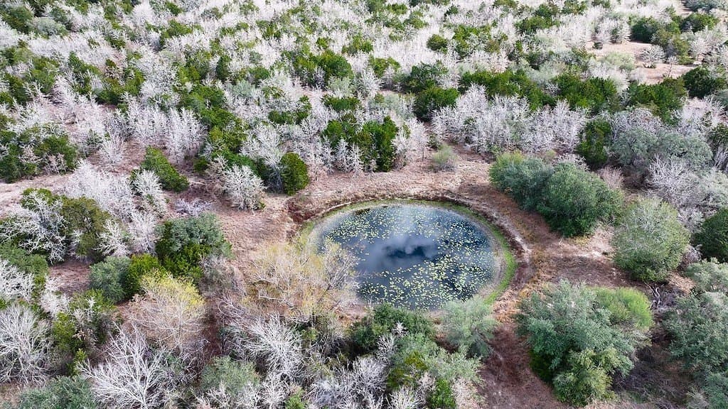 80.45 acres in Fayette County - photo 12