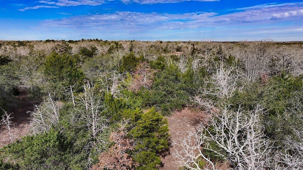 80.45 acres in Fayette County - photo 14