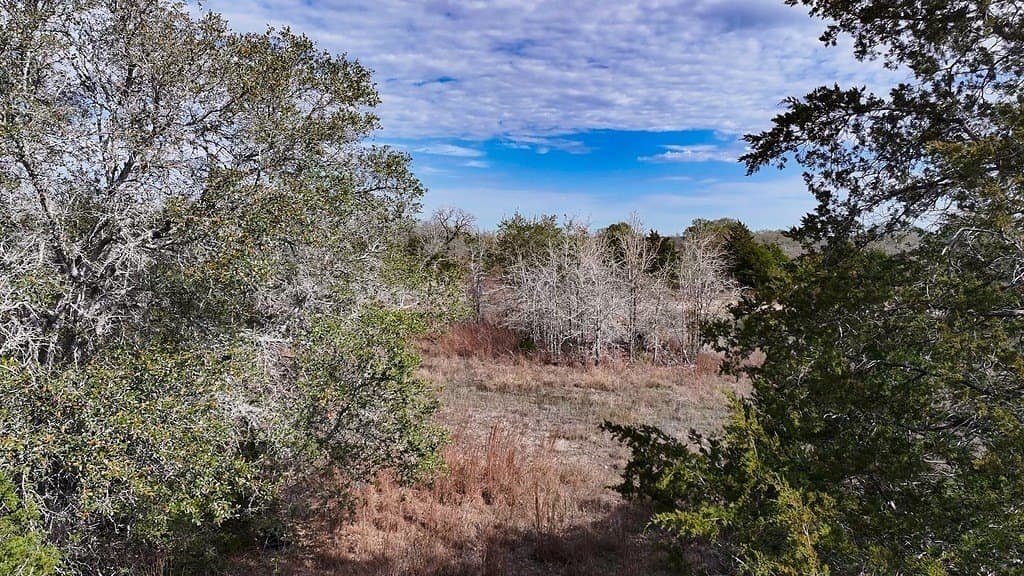 80.45 acres in Fayette County - photo 17