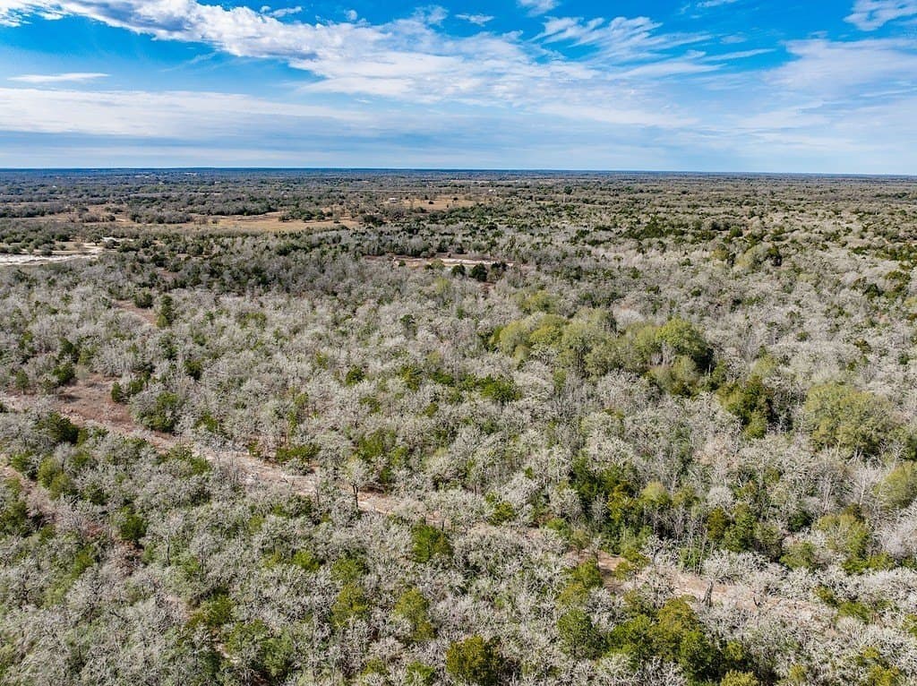 80.45 acres in Fayette County - photo 16