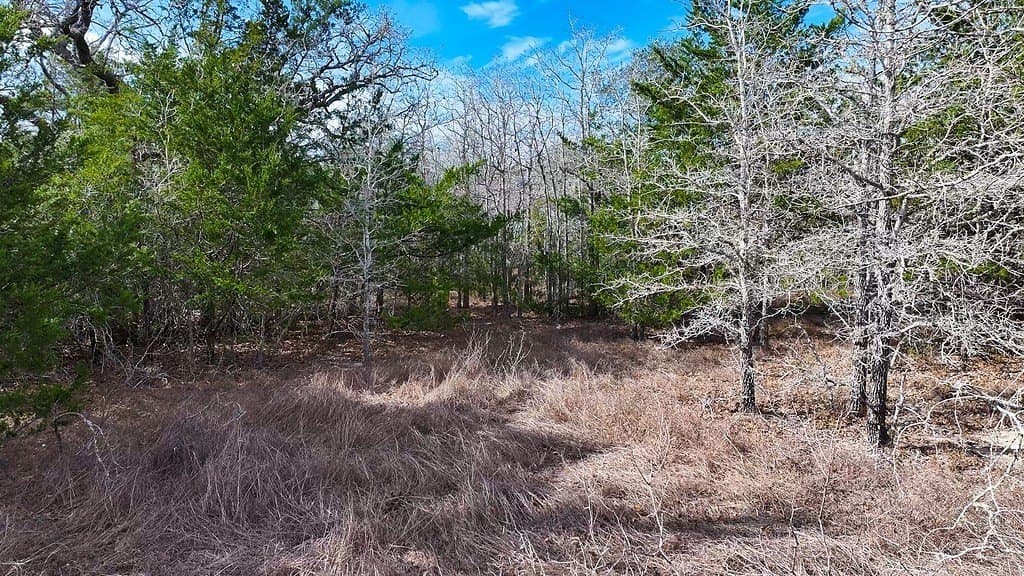 80.45 acres in Fayette County - photo 10