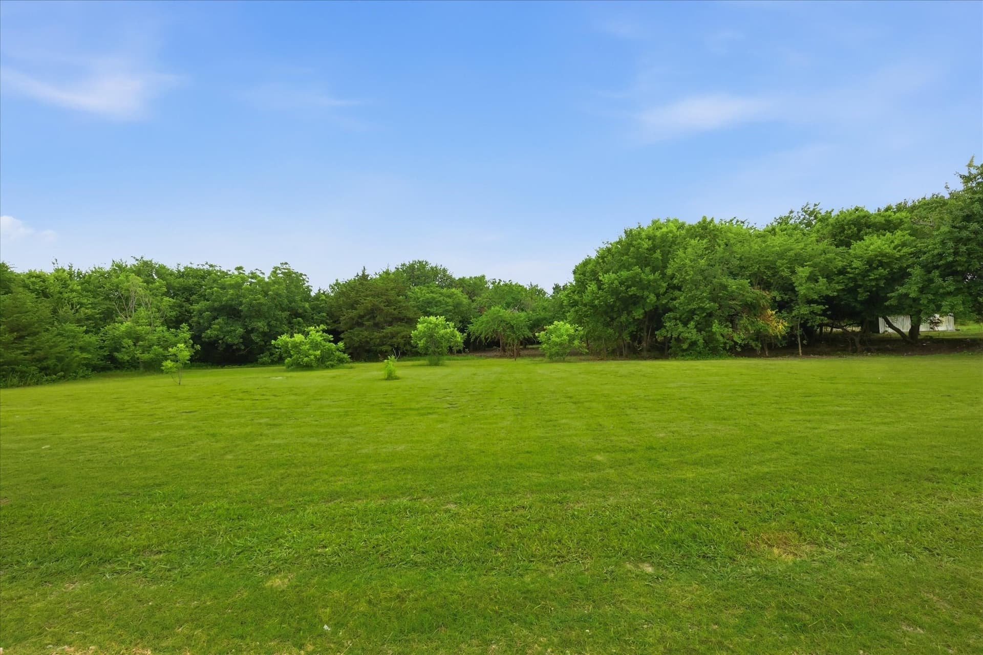15.06 acres in Fannin County - photo 30