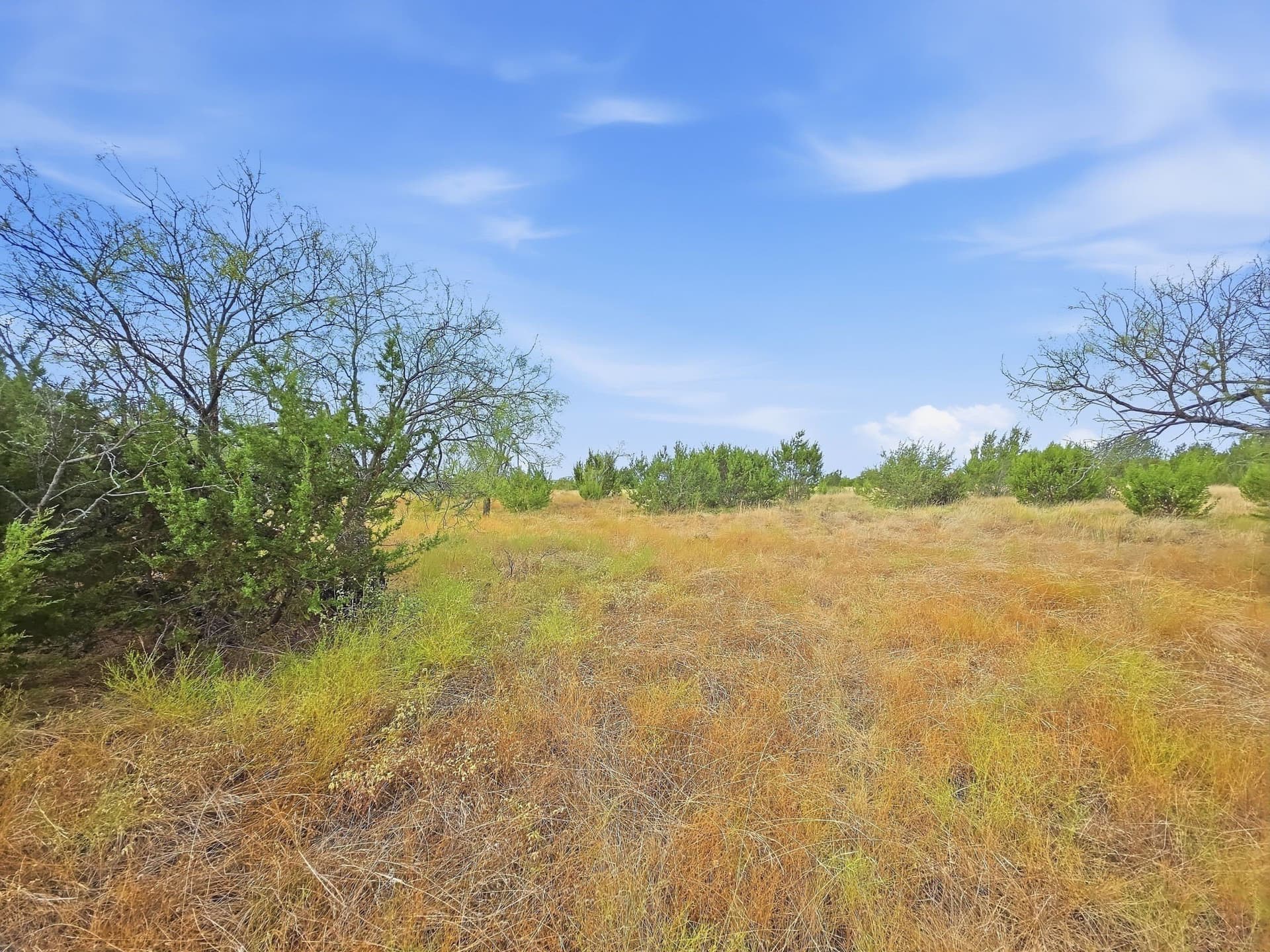 10.01 acres in Hamilton County - photo 7