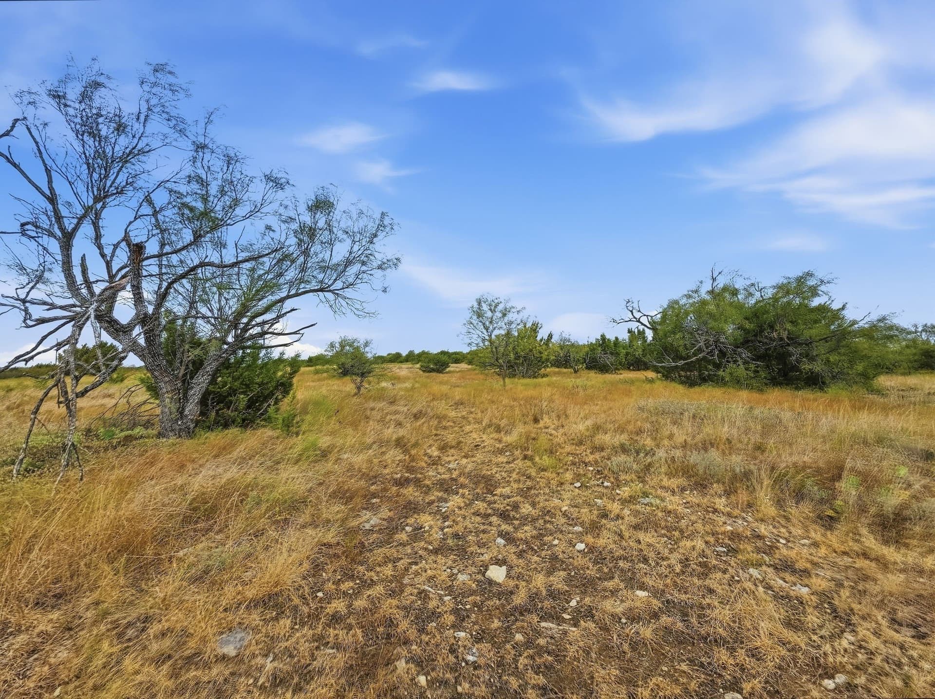 10.01 acres in Hamilton County - photo 8