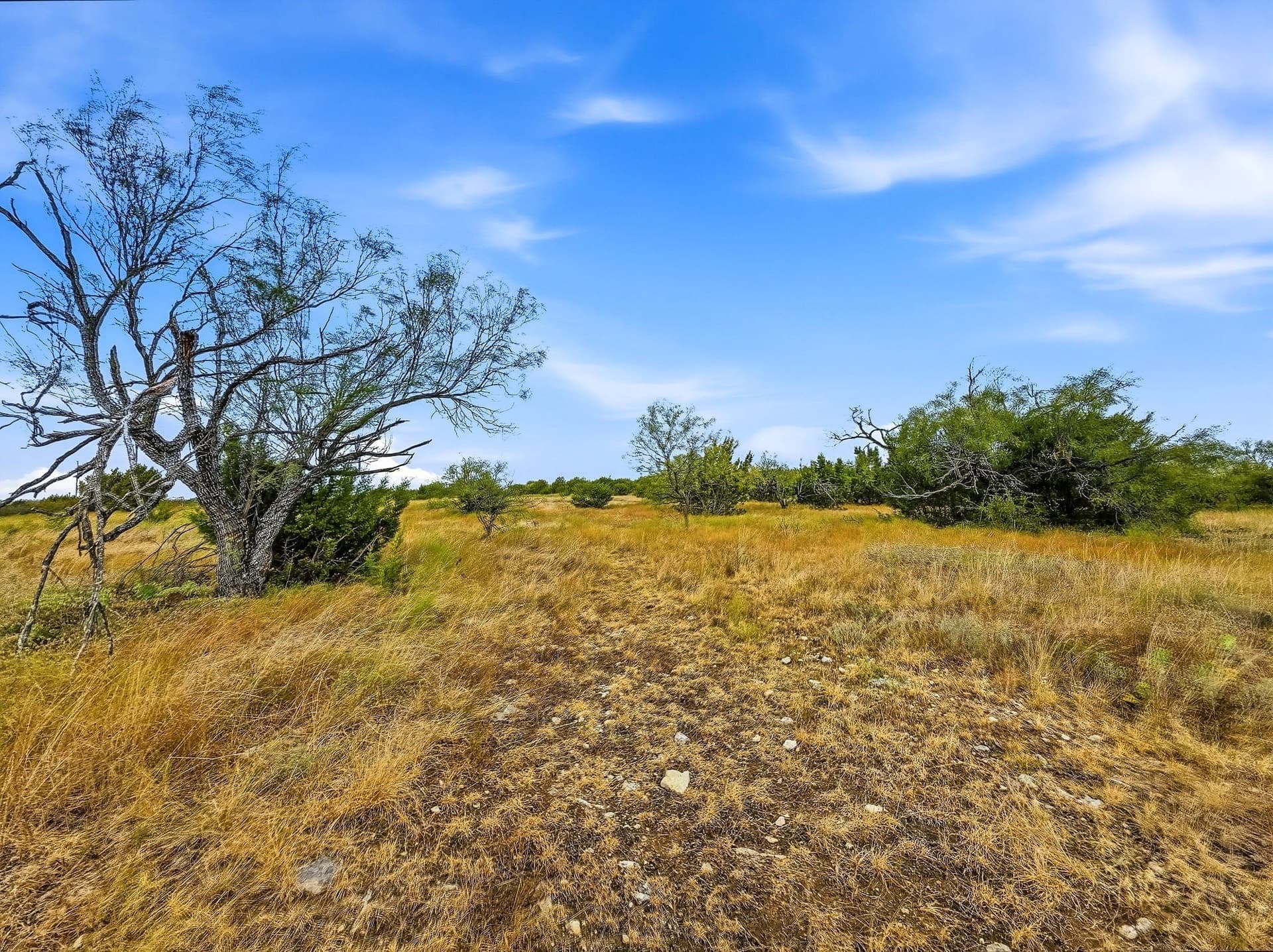 10.01 acres in Hamilton County - photo 9