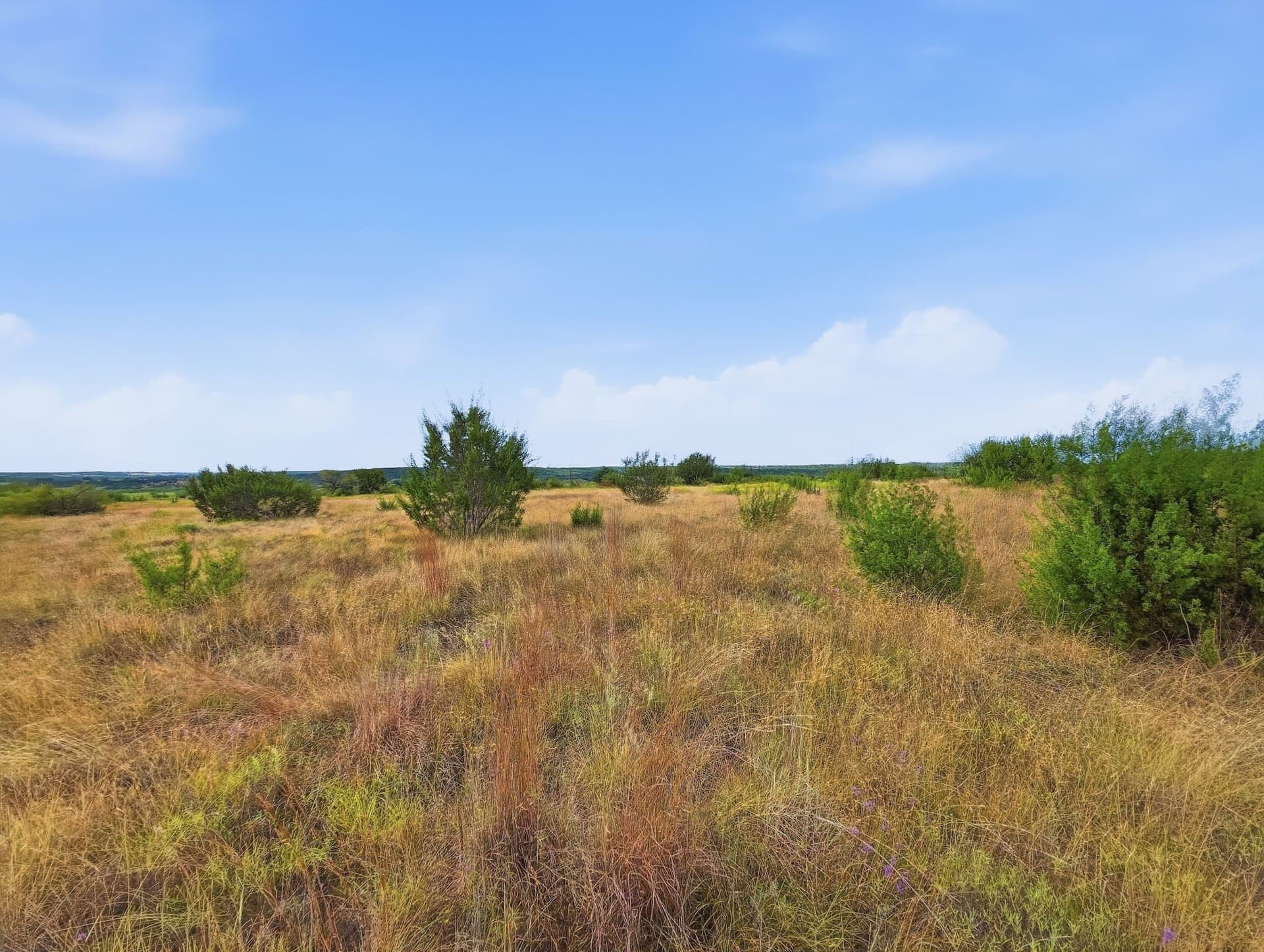 10.01 acres in Hamilton County - photo 3