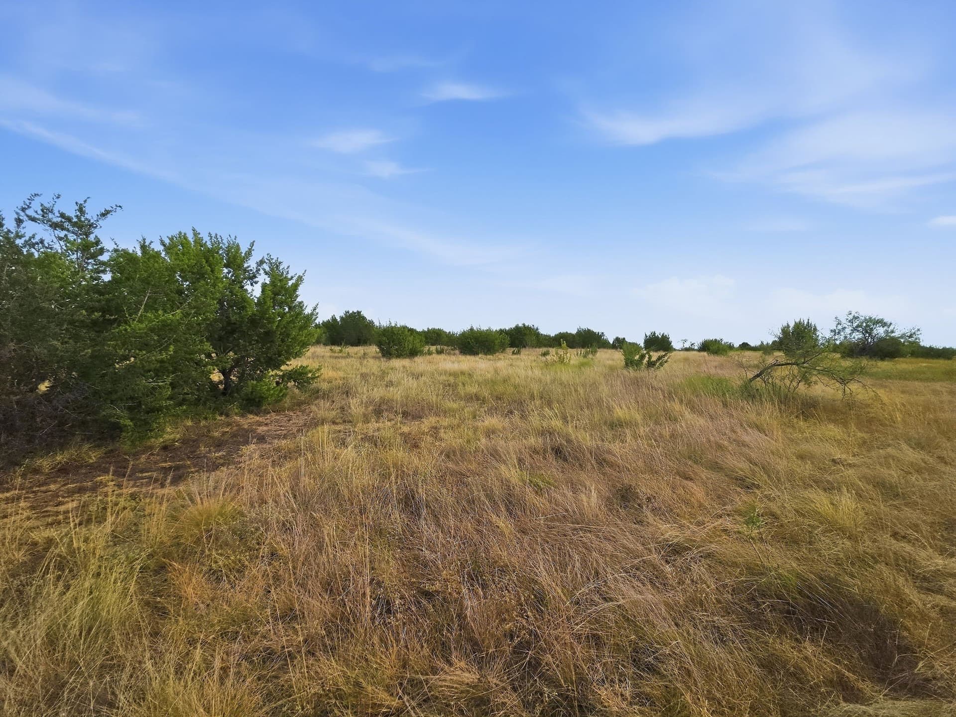 10.01 acres in Hamilton County - photo 2