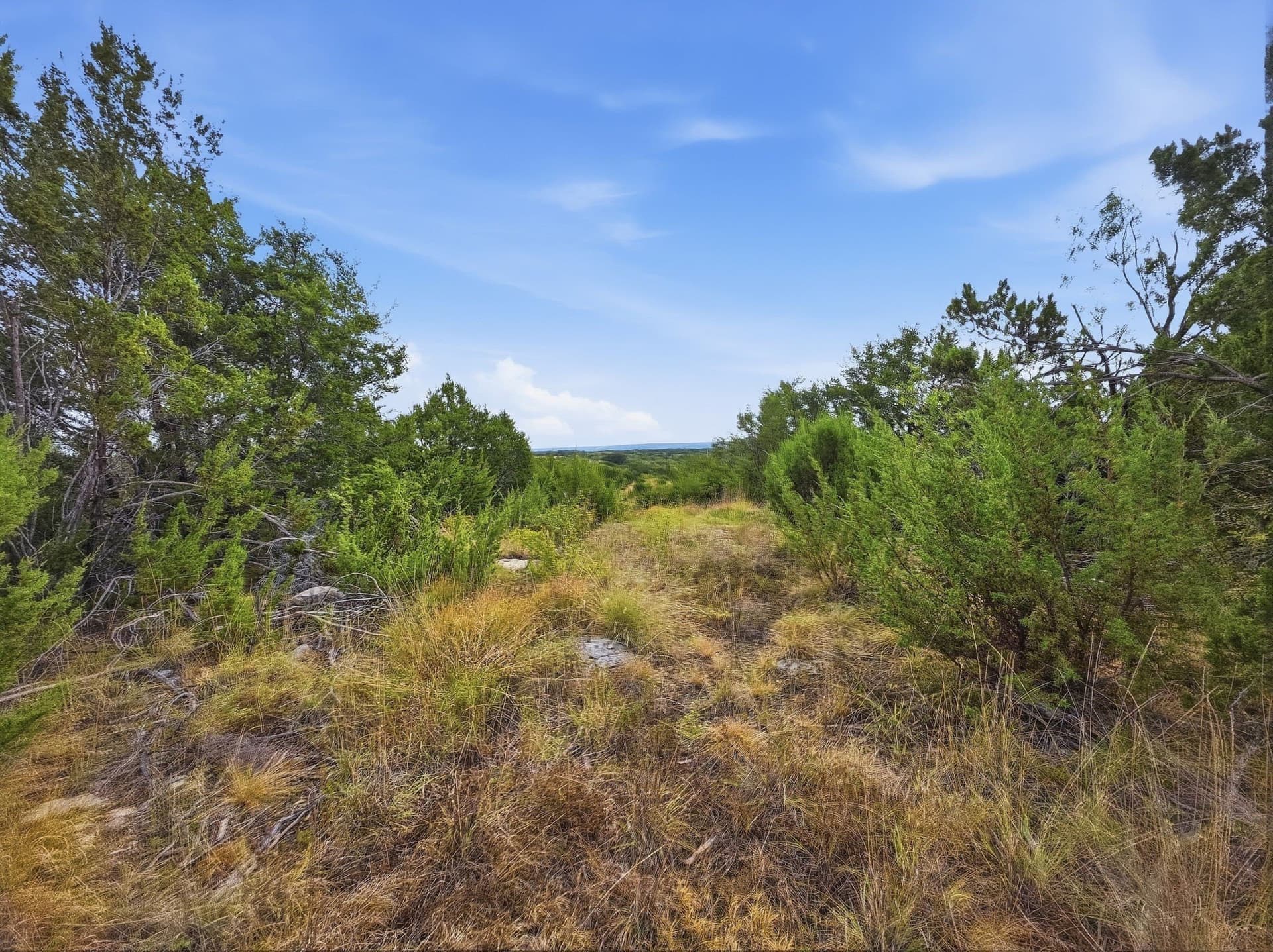 10.01 acres in Hamilton County - photo 5