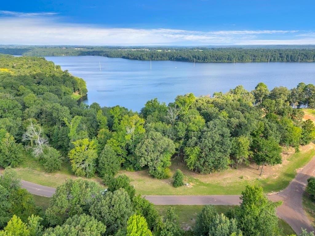 0.8 acres in Texas County - photo 11