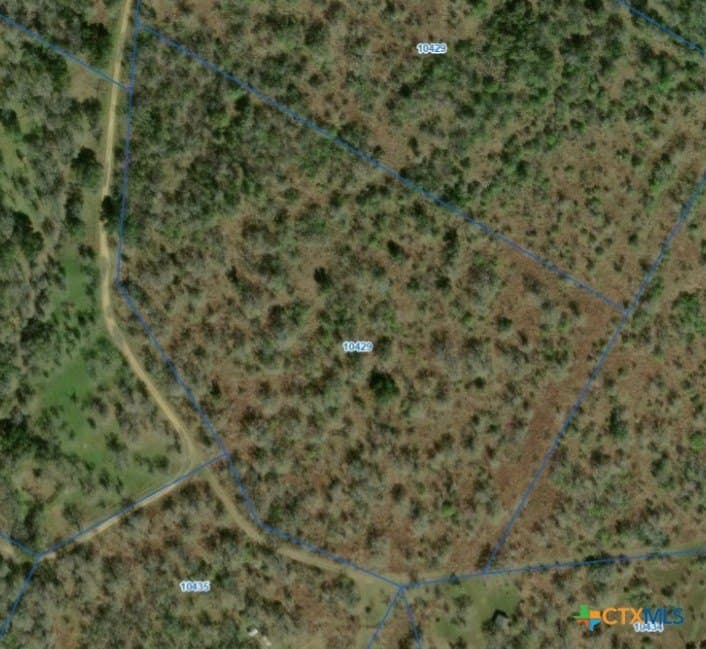 22.2 acres in Gonzales County - photo 3