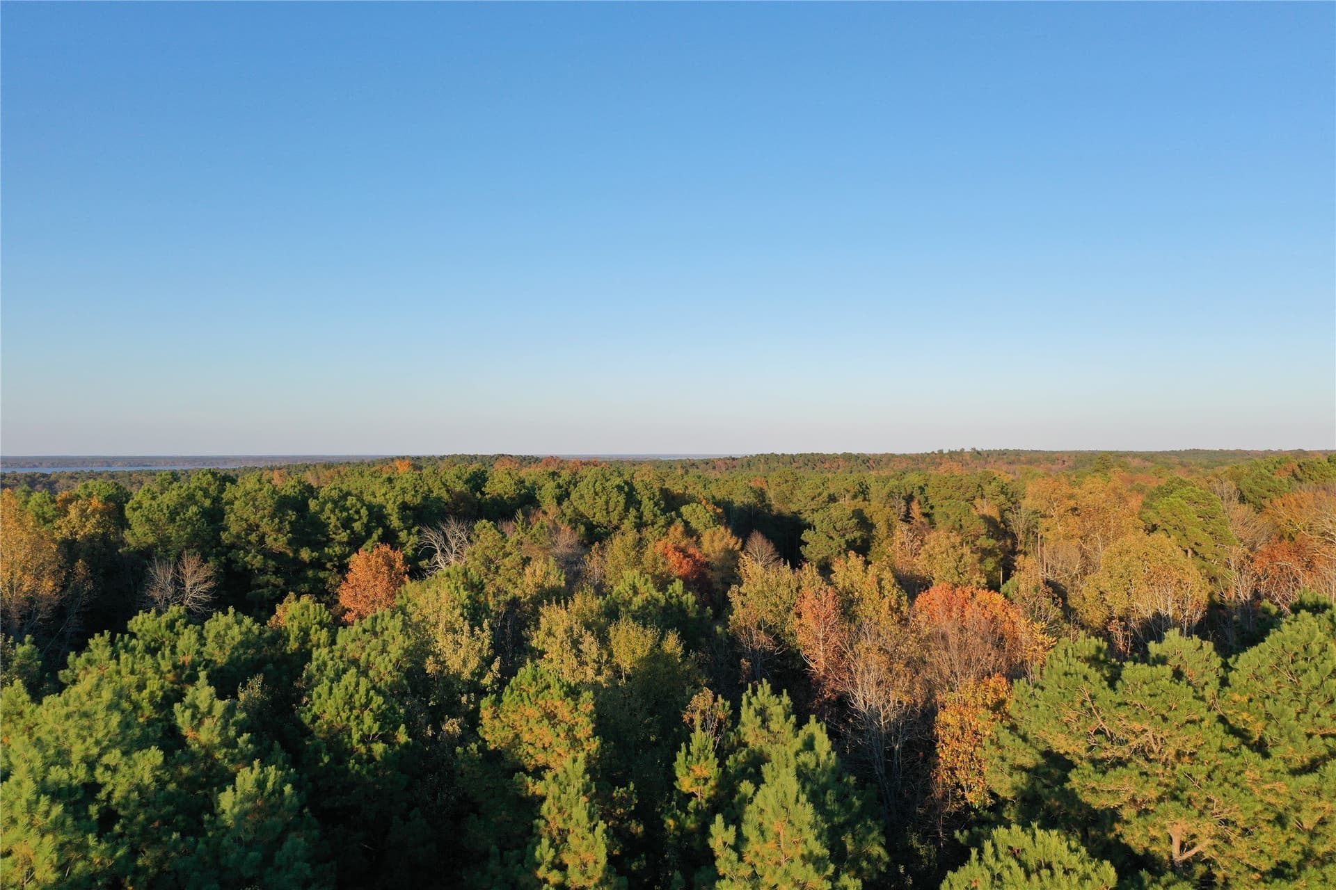 18.46 acres in Cass County featured view