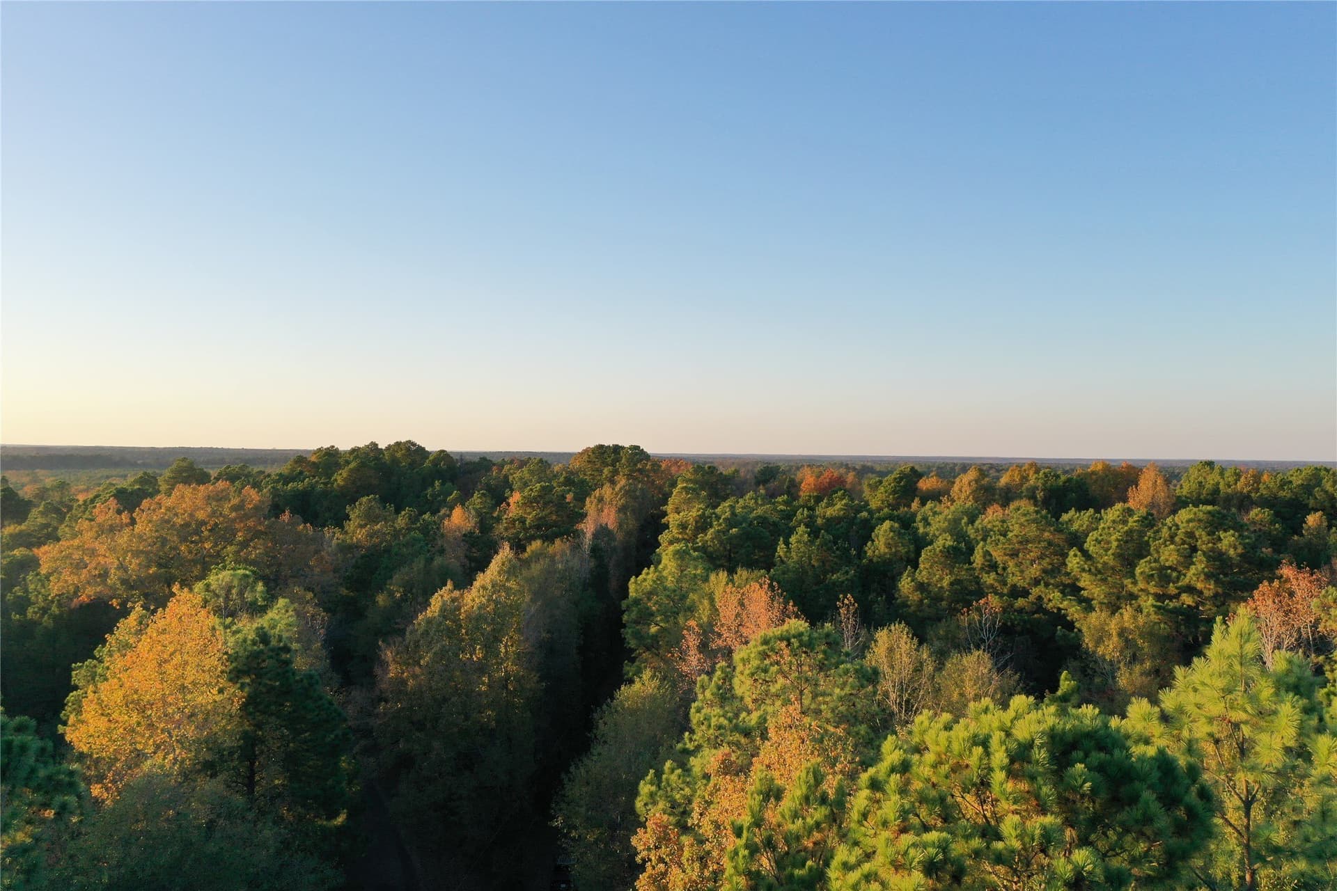 18.46 acres in Cass County - photo 24
