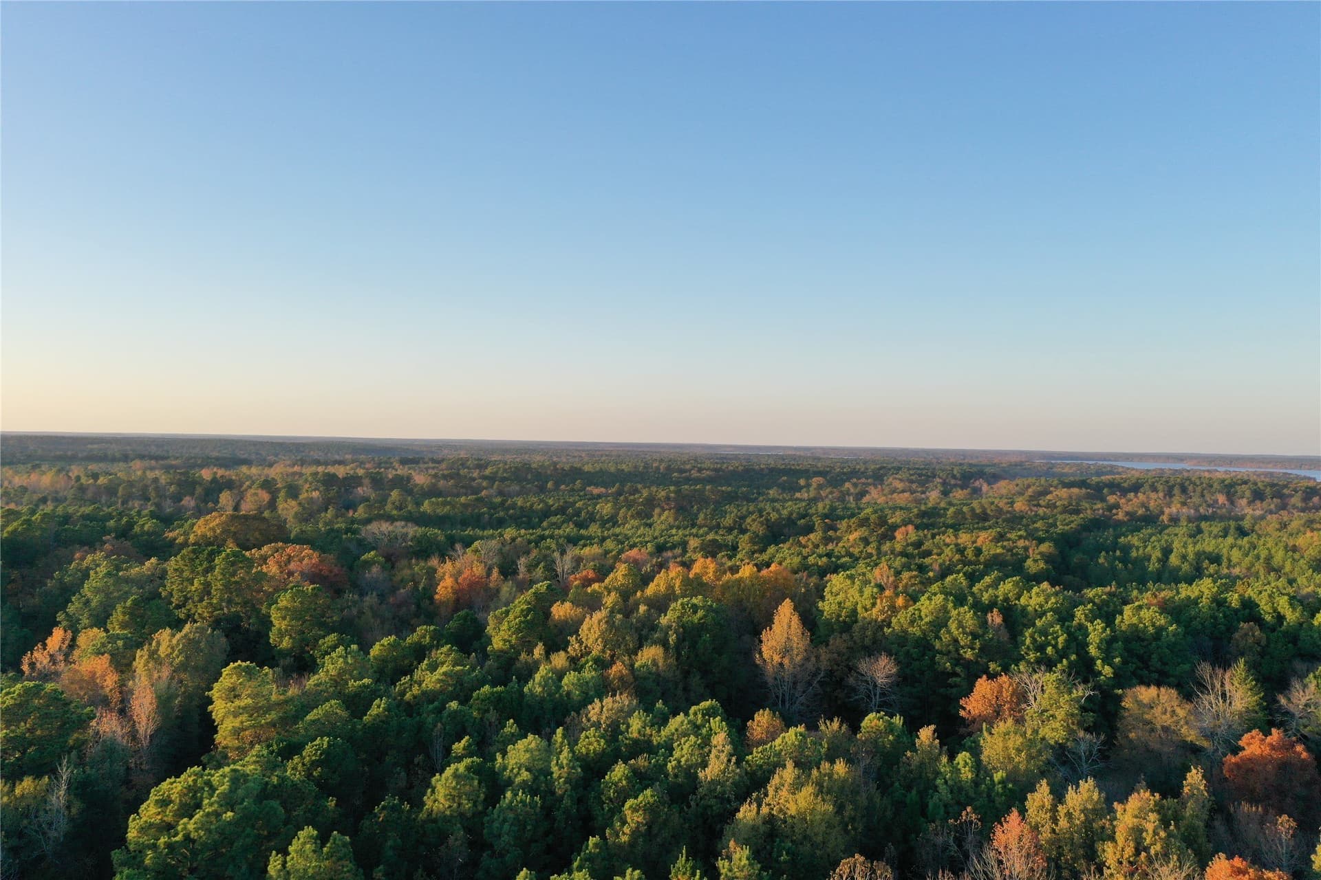 18.46 acres in Cass County - photo 26