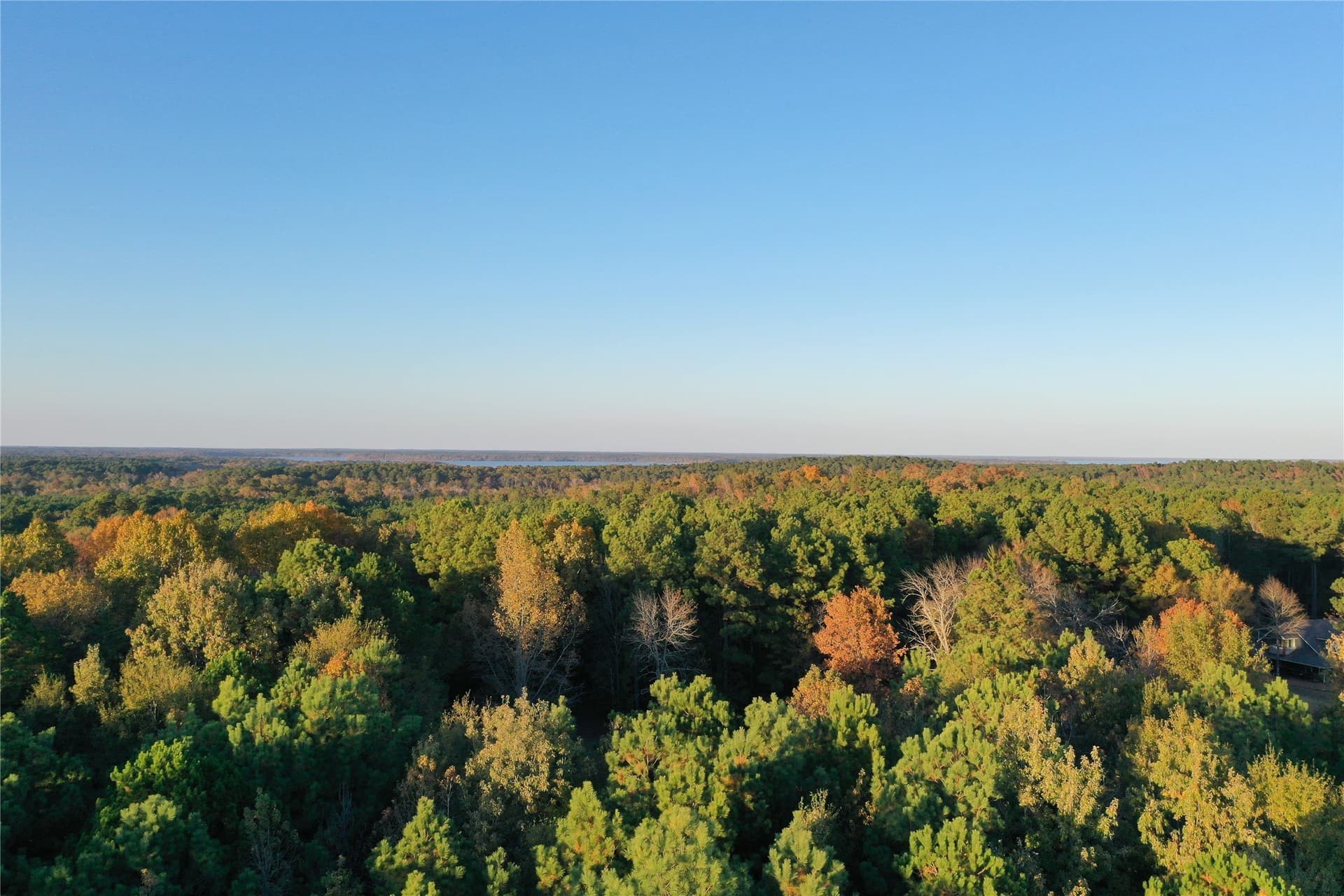 18.46 acres in Cass County - photo 15