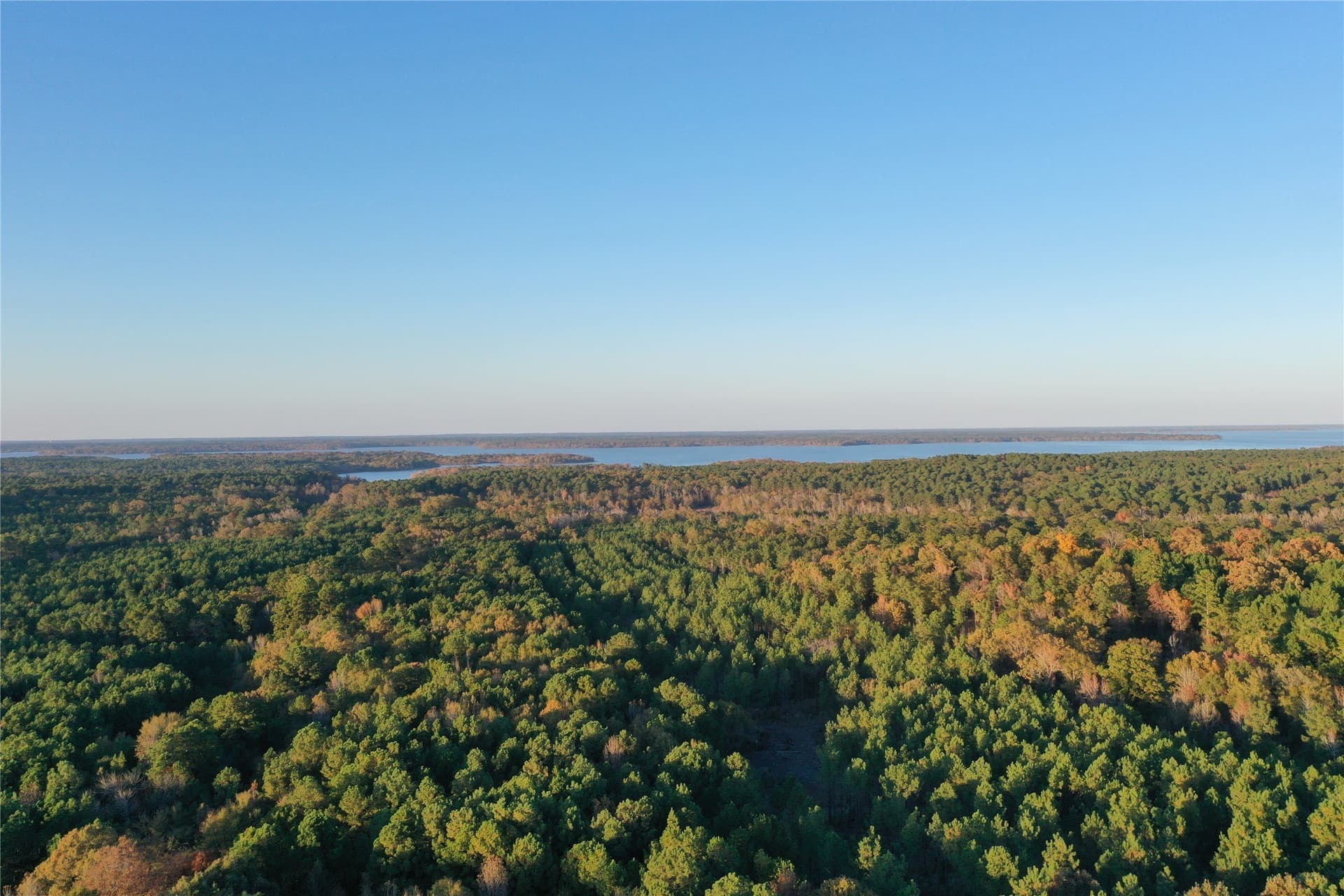 18.46 acres in Cass County - photo 13