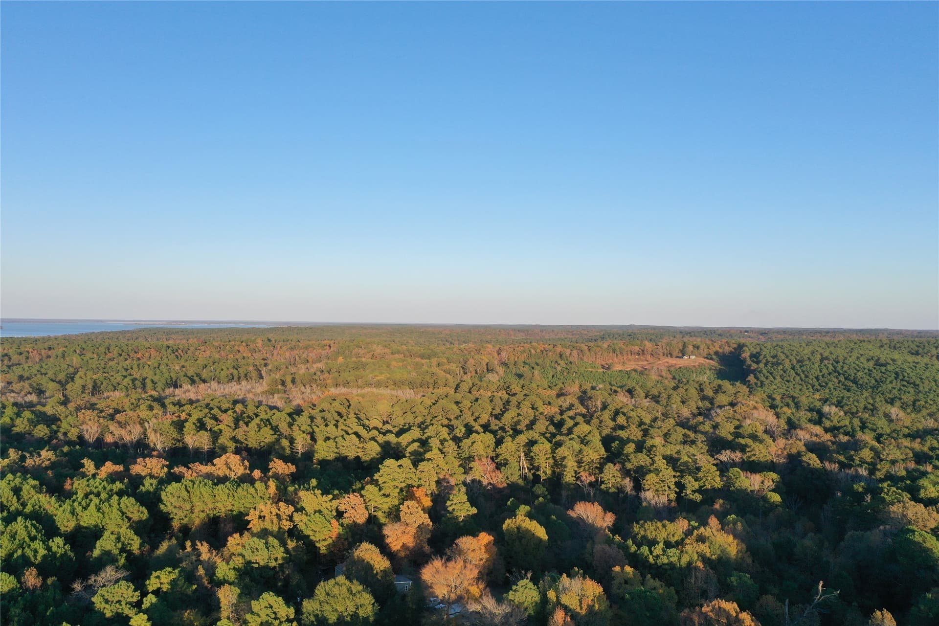 18.46 acres in Cass County - photo 11