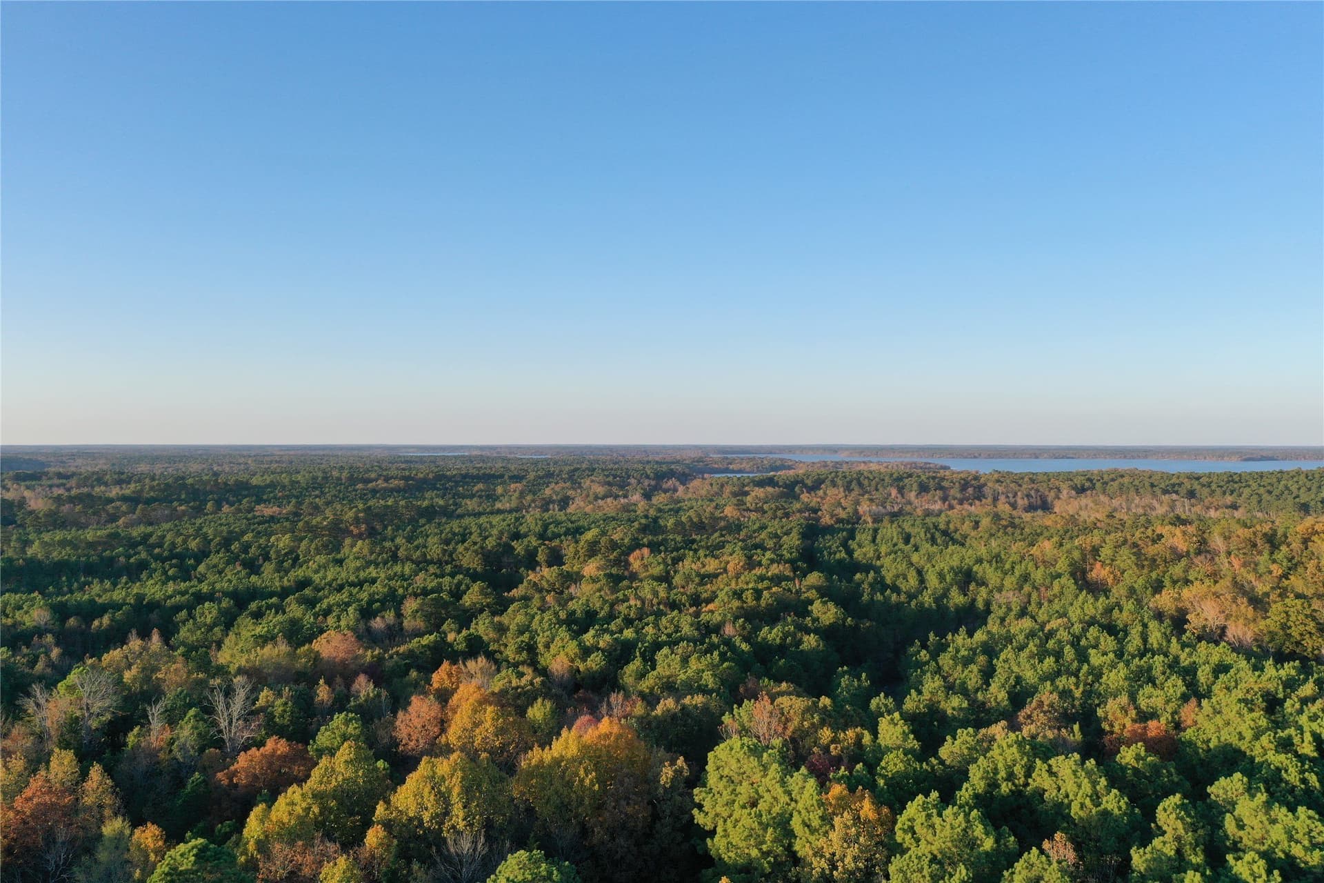 18.46 acres in Cass County - photo 9