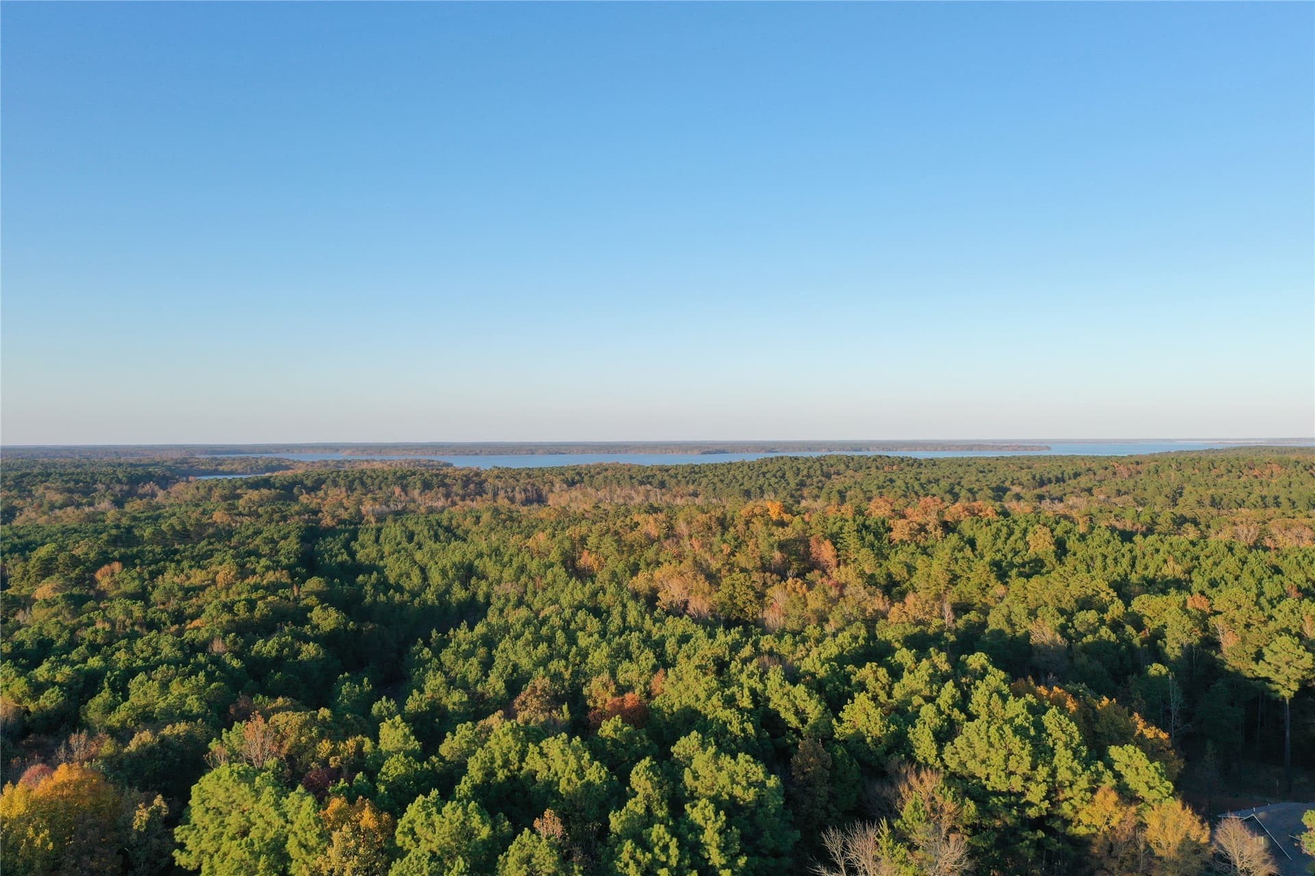 18.46 acres in Cass County - photo 10