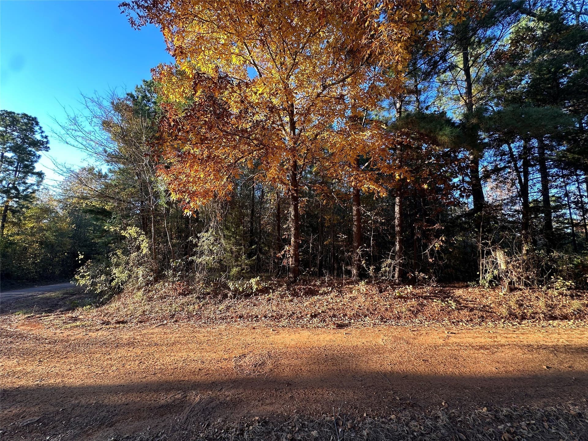 18.46 acres in Cass County - photo 32