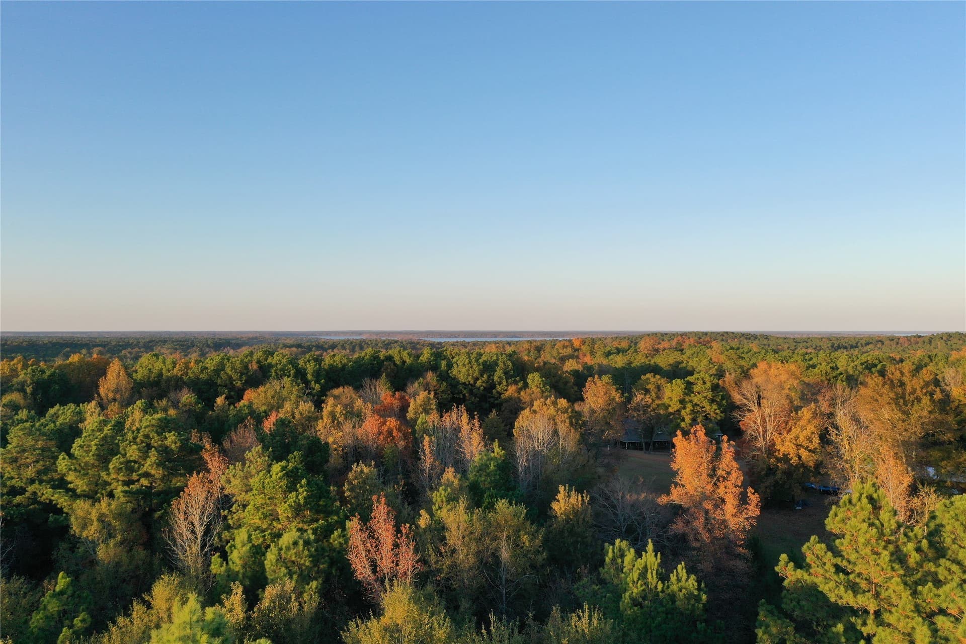 18.46 acres in Cass County - photo 21