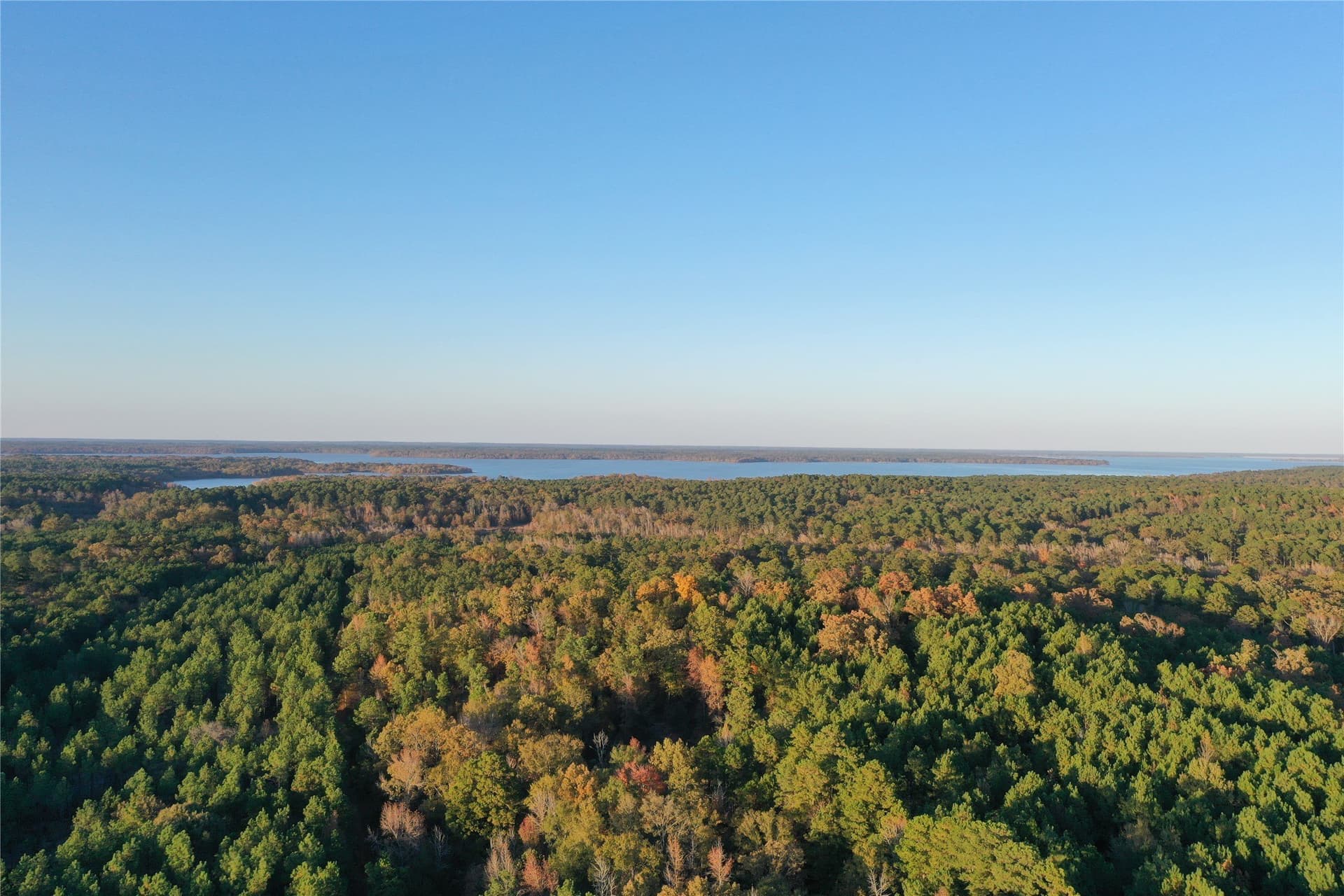 18.46 acres in Cass County - photo 12