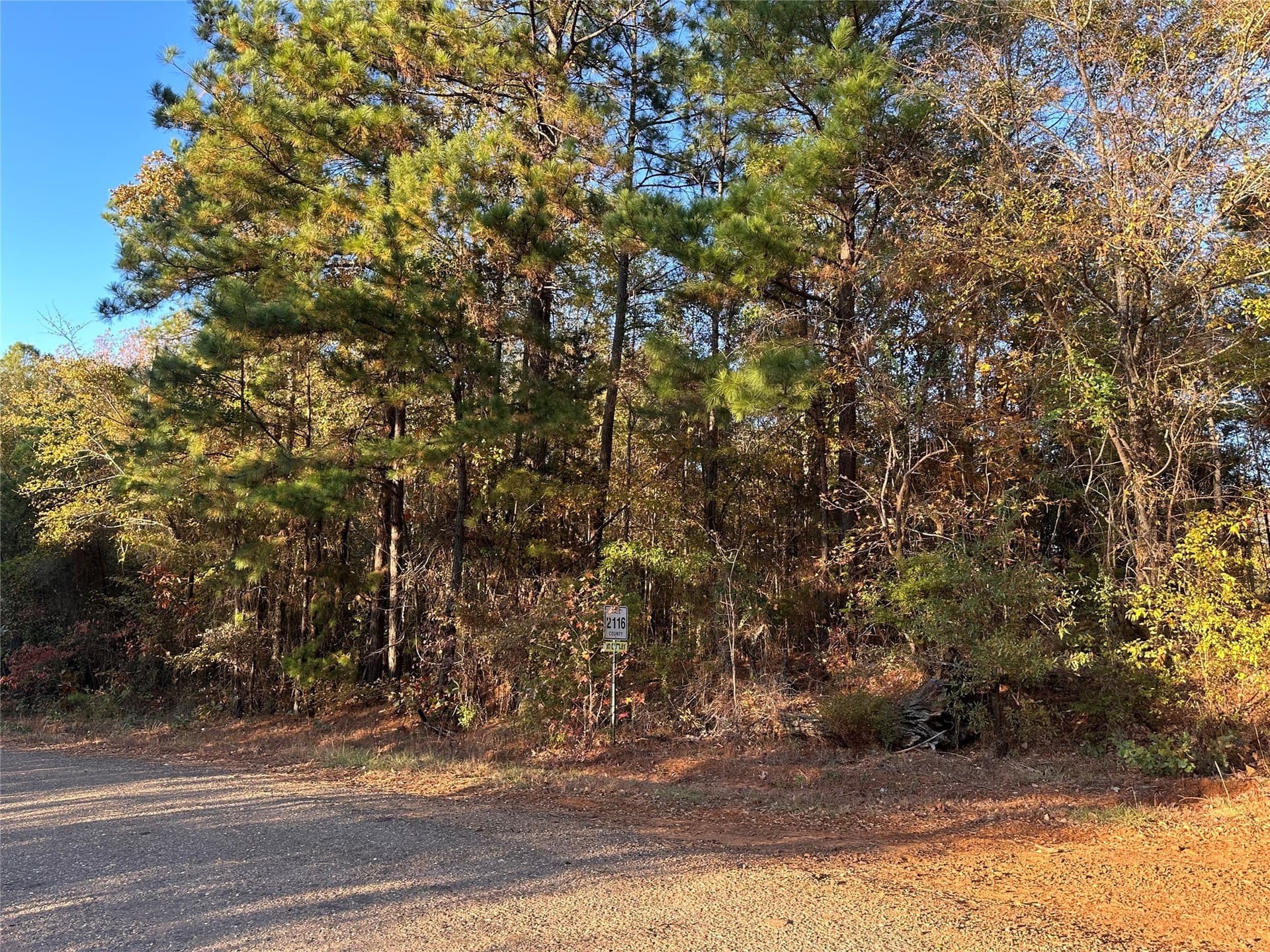 18.46 acres in Cass County - photo 28