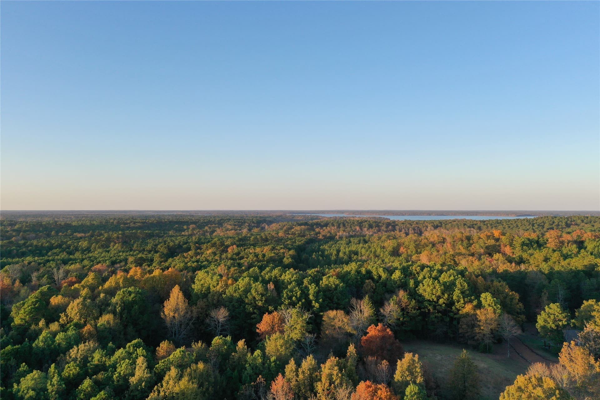 18.46 acres in Cass County - photo 25