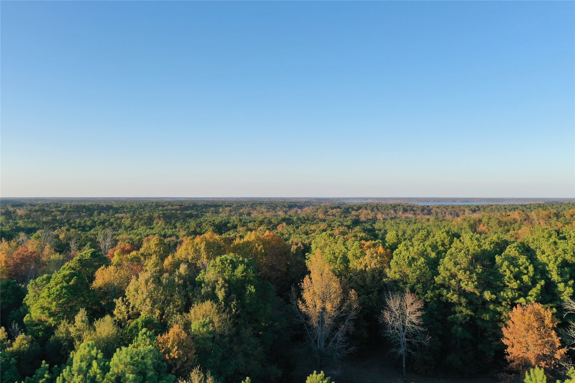 18.46 acres in Cass County - photo 8