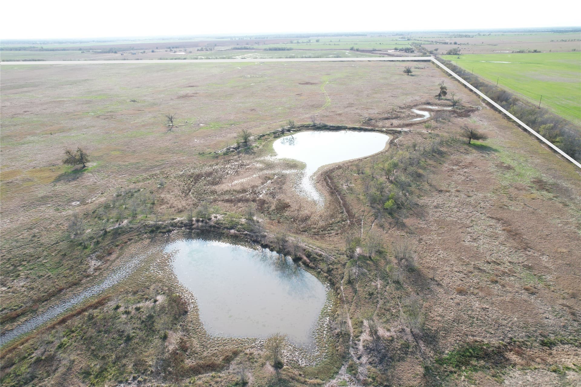 753 acres in Falls County - photo 10