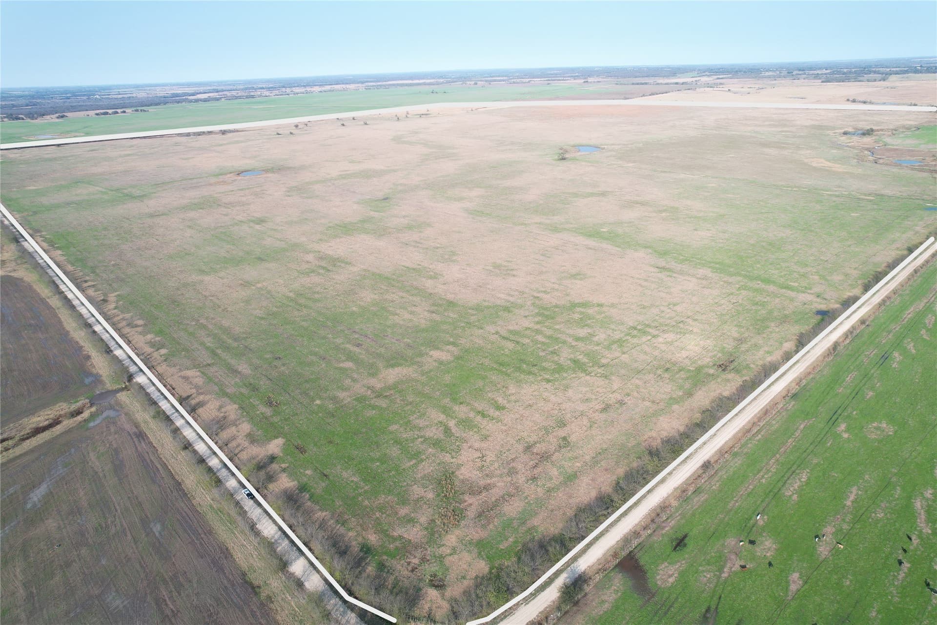 753 acres in Falls County - photo 8