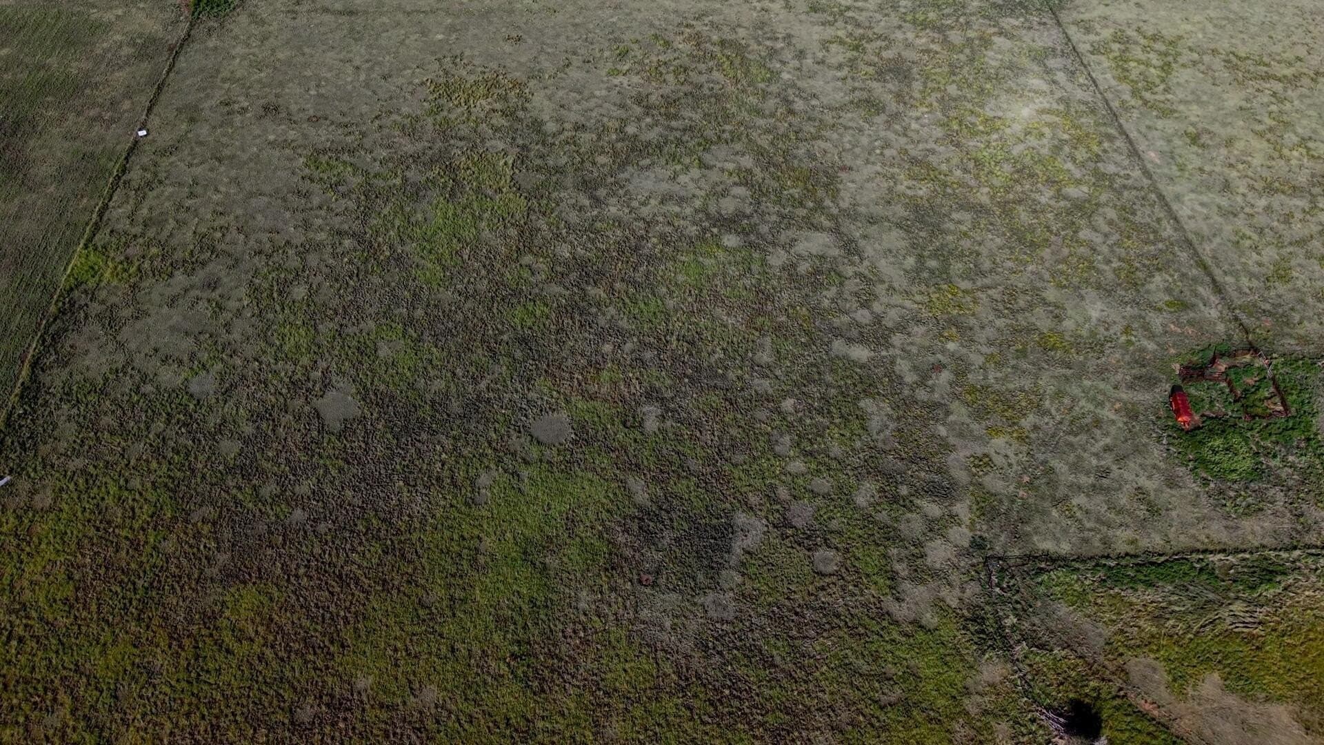 10 acres in Carson County gallery image 2