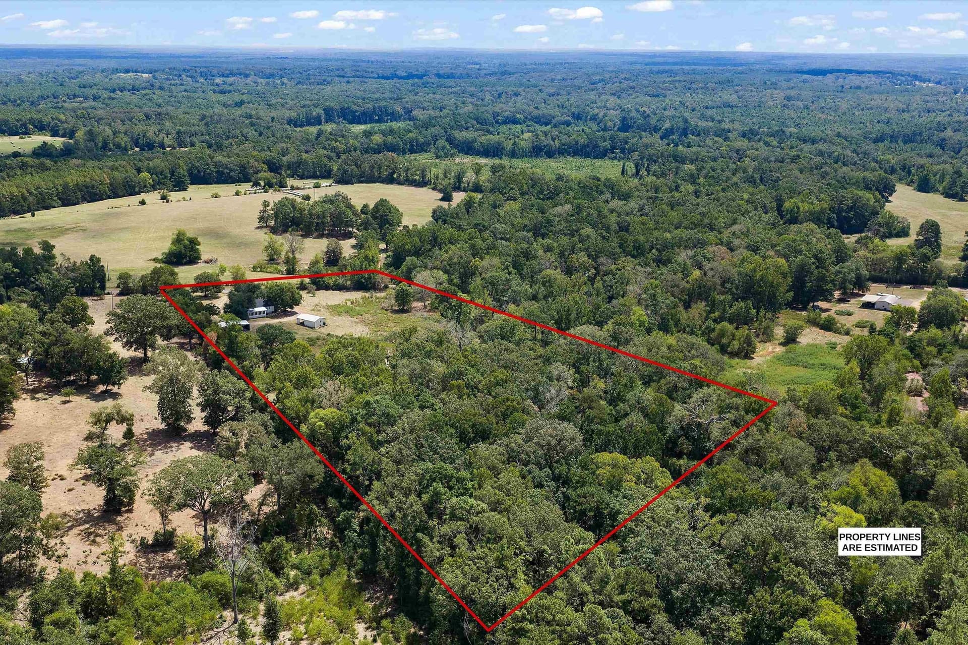 10.25 acres in Panola County - photo 7