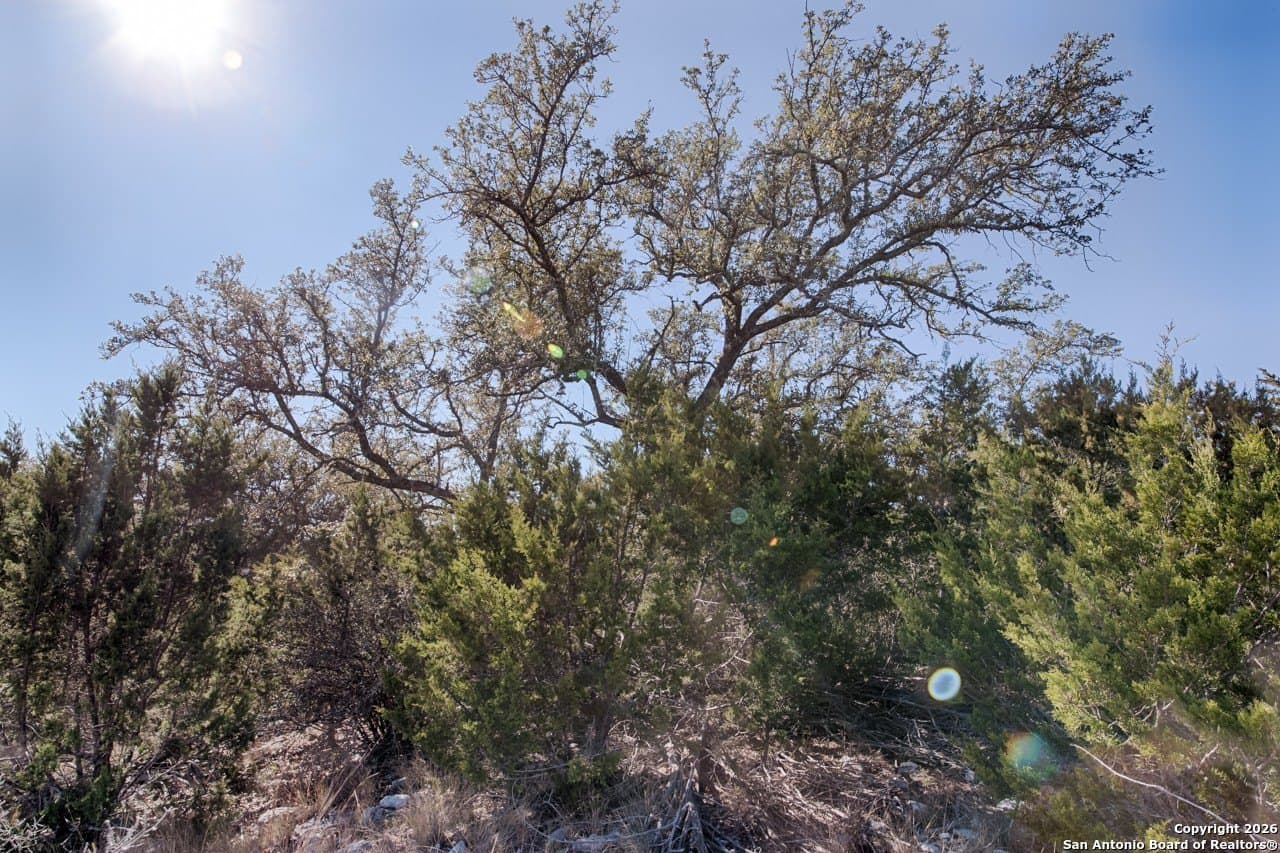 11.47 acres in Kimble County - photo 12