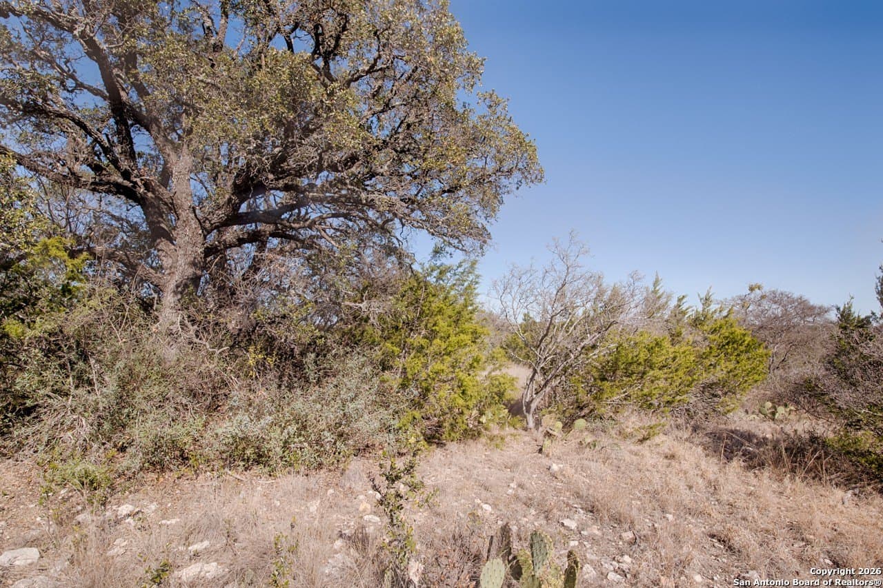 11.47 acres in Kimble County - photo 8