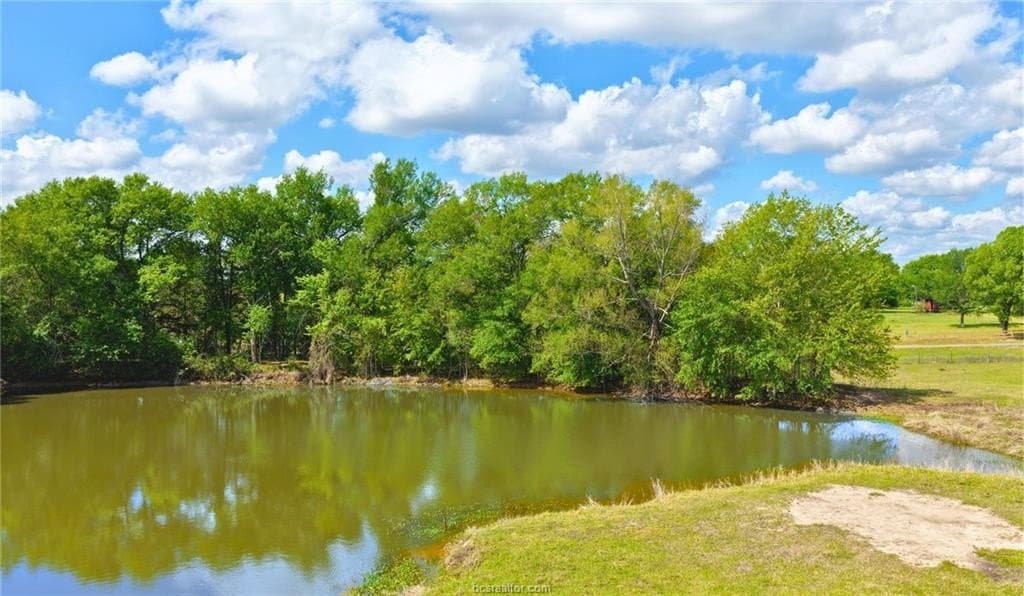 16.9 acres in Burleson County gallery image 3