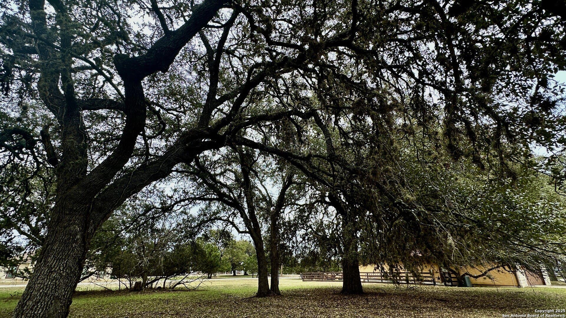 0.28 acres in Bandera County gallery image 3