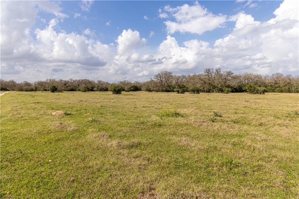 86 acres in Brazos County - photo 17
