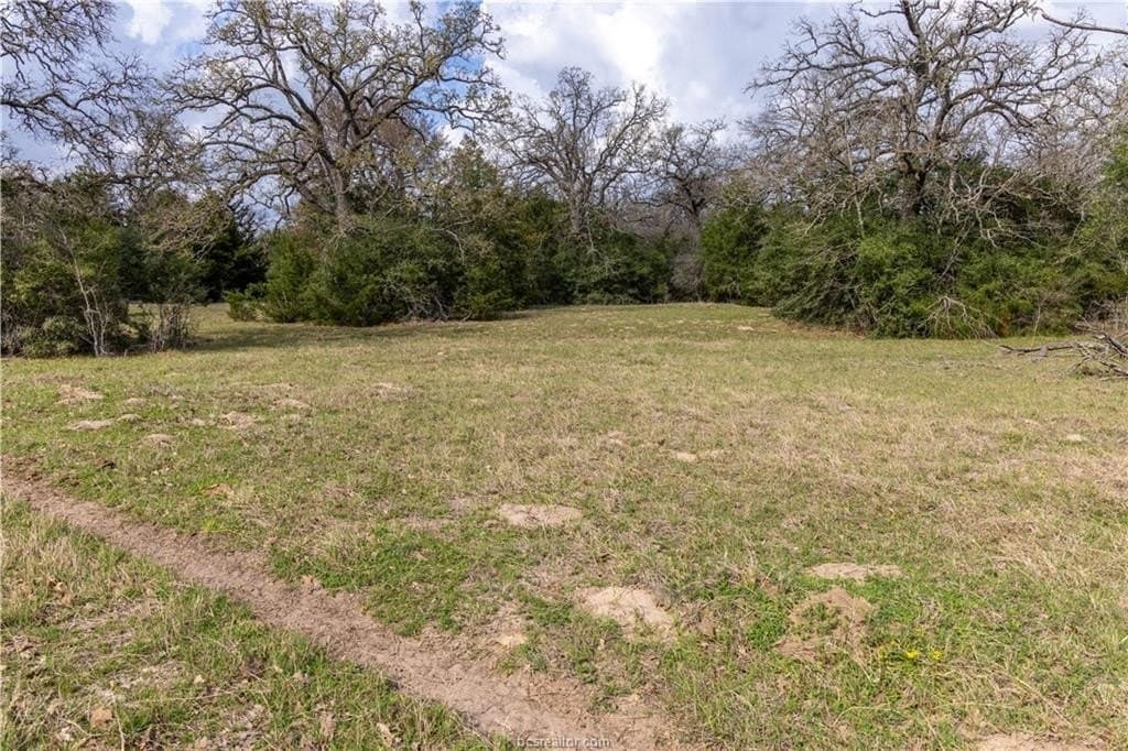 86 acres in Brazos County - photo 9