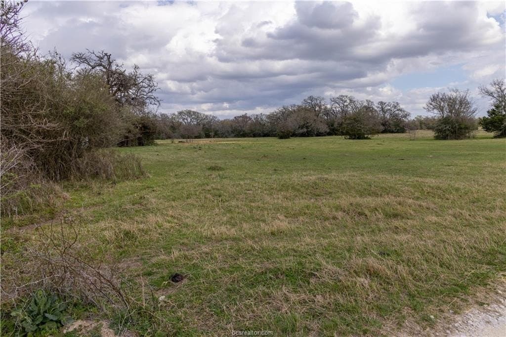 86 acres in Brazos County - photo 12