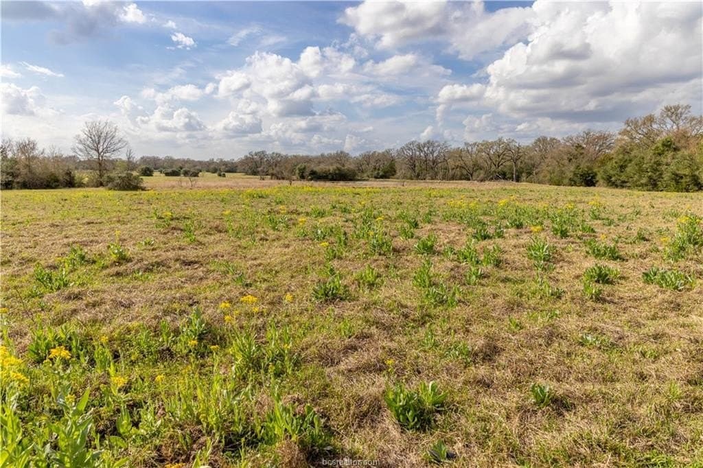 86 acres in Brazos County - photo 19