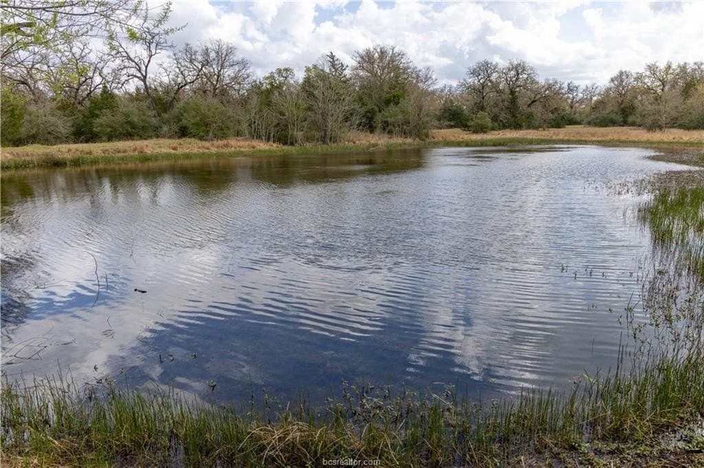 86 acres in Brazos County - photo 8