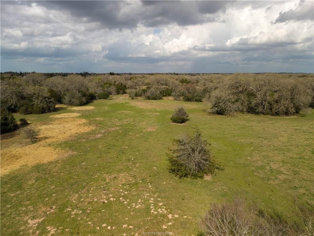 86 acres in Brazos County - photo 6