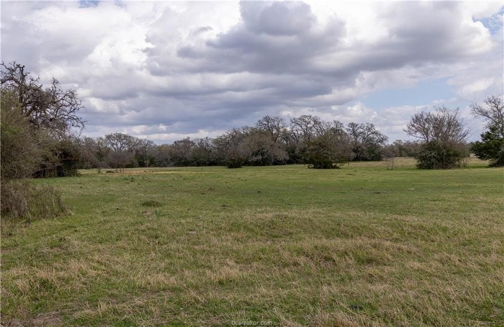 86 acres in Brazos County - photo 13