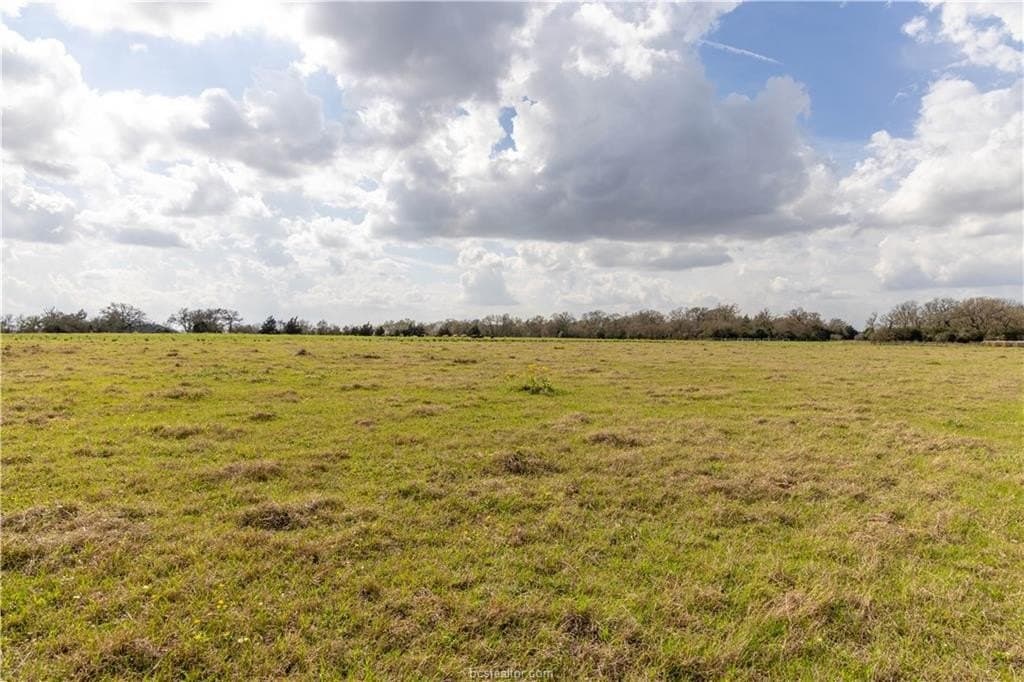86 acres in Brazos County - photo 18