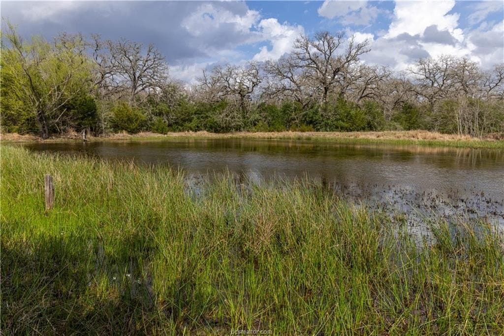86 acres in Brazos County - photo 7