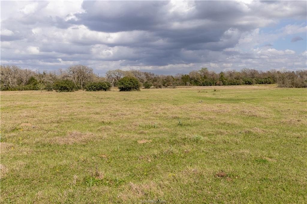 86 acres in Brazos County - photo 15